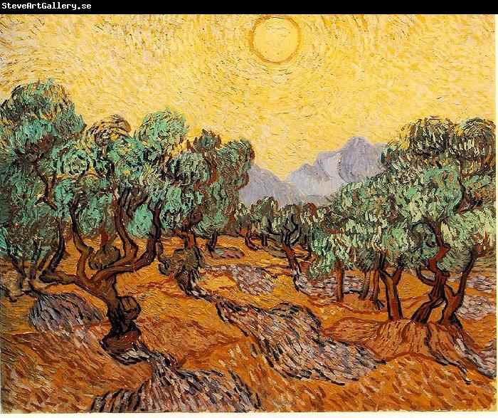 Vincent Van Gogh Olive Trees with Yellow Sky and Sun